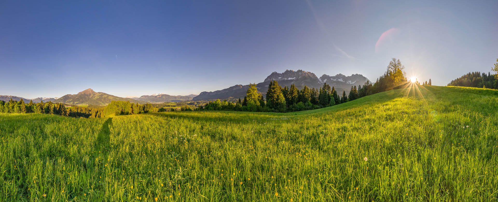 Roitzheim Workshops